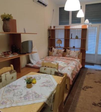 סופיה Comfortable And Cosy Studio Near Ndk מראה חיצוני תמונה