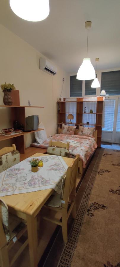 סופיה Comfortable And Cosy Studio Near Ndk מראה חיצוני תמונה
